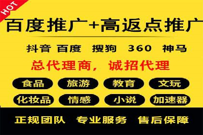 百度广告投放策略优化及成功案例解析